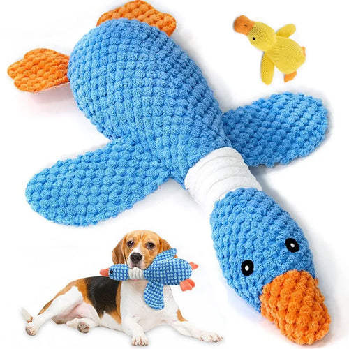 Dog playing with a blue knitted toy shaped like a goose on a white background