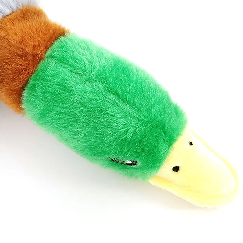 Plush duck chew toy with green body, brown head, and yellow beak on a white background