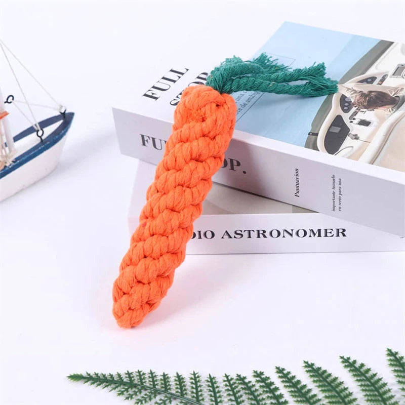 Orange carrot-shaped dog chew toy resting against a book with green leaves in the background