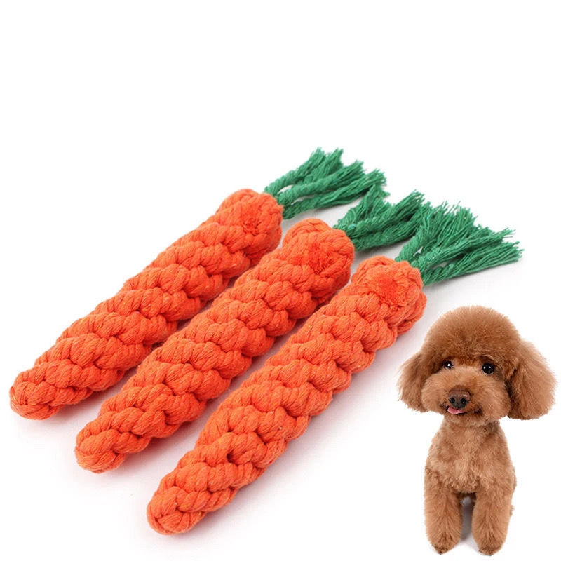 Three orange carrot dog chew toys with green stems and a small brown dog on a white background