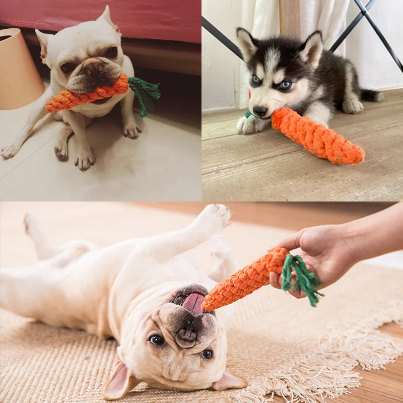 Three images of dogs playing with carrot-shaped toys. Top left: White dog with toy carrot, top right: Husky with toy carrot, bottom: Dog lying down belly up with toy carrot held by a hand.