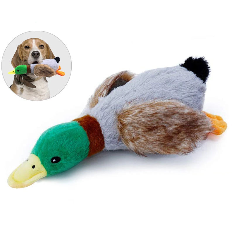 Dog chew toy shaped like a hunting duck with a dog holding it in its mouth on a white background