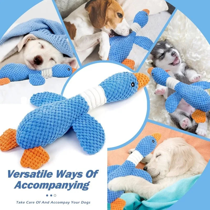 Collage of dogs snuggling with a blue goose dog toy, with text 'Versatile Ways Of Accompanying' and 'Take Care Of And Accompany Your Dogs'.