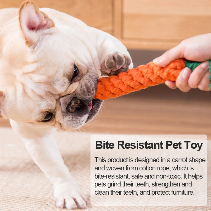 Dog playing with a bite-resistant carrot dog chew toy, with text describing the products bite resistance